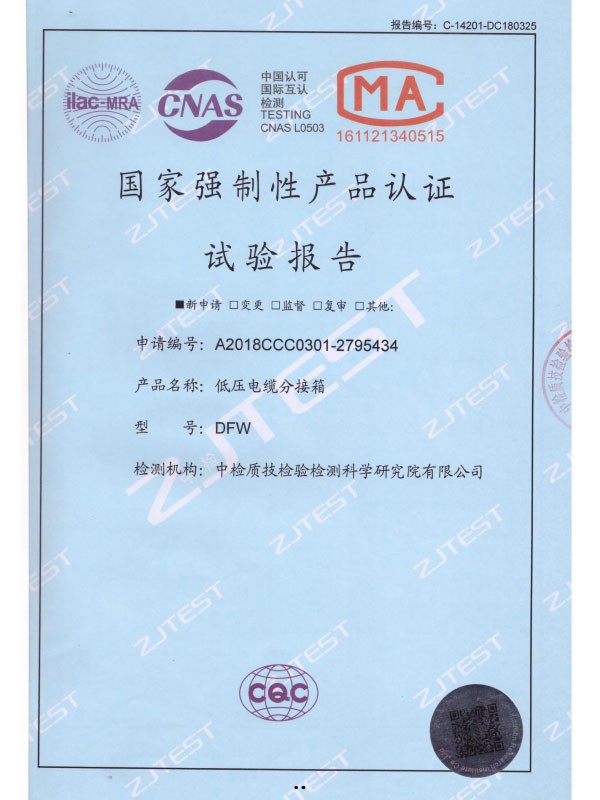 DFW国家强制性产品认证试验报告